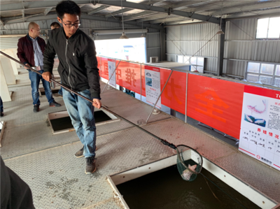 【新時(shí)代 新作為 新篇章】搭建新平臺(tái)研發(fā)新技術(shù) 農(nóng)業(yè)創(chuàng)新為鄉(xiāng)村振興注入活力