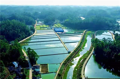 市中區(qū):專業(yè)指揮部&ldquo;夯基&rdquo; 園區(qū)建設(shè)出彩出效