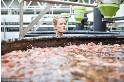 水產養殖學的就業前景怎么樣?詳解行業環境與發展前景