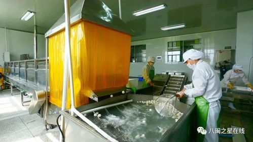 金獎企業 旭煌食品 巧用科技助力 讓 魚丸 國際旅程更遠