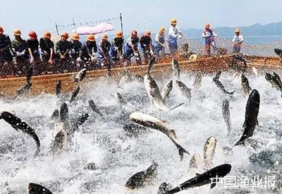 水產養殖智慧化不能照搬技術