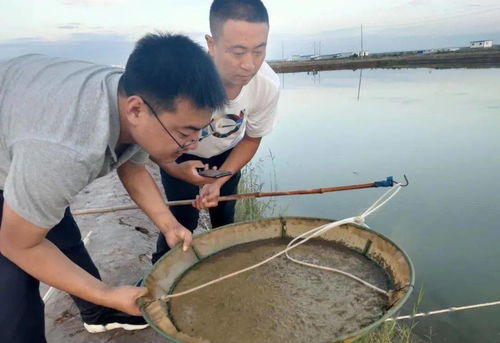 這個生態養殖模式,厲害了 年產量達30多萬斤,產值1200萬元