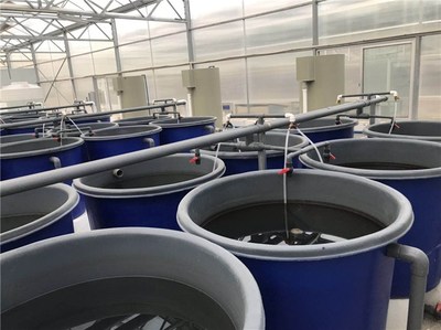 工廠化養魚槽-工廠化養魚-武漢智慧農研(查看)