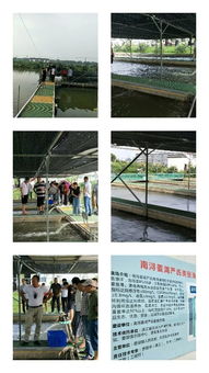 浙江武義職技校培訓中心組織水產養殖班到嘉興湖州培訓學習