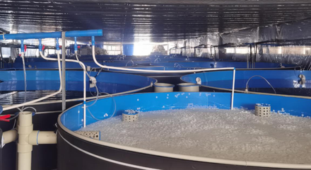 畜禽水產(chǎn)所科研人員到西南永盛農(nóng)業(yè)科技考察調(diào)研