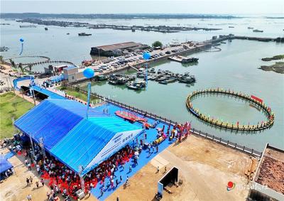 加快建設(shè)現(xiàn)代化海洋牧場(chǎng),打造廣東省金鯧魚(yú)優(yōu)勢(shì)特色產(chǎn)業(yè)集群