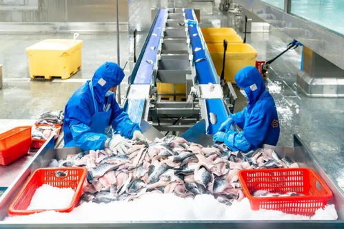 科技引領(lǐng)龍頭帶動(dòng),三水都市農(nóng)業(yè)綻放光彩 奮戰(zhàn)百千萬(wàn) 三水譜新篇 系列圖集