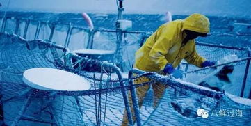 先進水產(chǎn)養(yǎng)殖技術(shù)及設(shè)備之網(wǎng)箱水產(chǎn)養(yǎng)殖