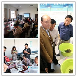 展?jié)O民養(yǎng)殖成果,推綠色水產養(yǎng)殖 上海市金山區(qū)舉辦首屆水產養(yǎng)殖豐收節(jié)