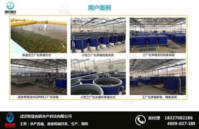 工廠化養(yǎng)魚技術(shù) 工廠化養(yǎng)魚 智慧農(nóng)研(推薦商家)