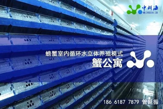 4月，這些先進的養殖設備和技術將集體亮相廈門 | ‘金磚’水產盛會邀請函